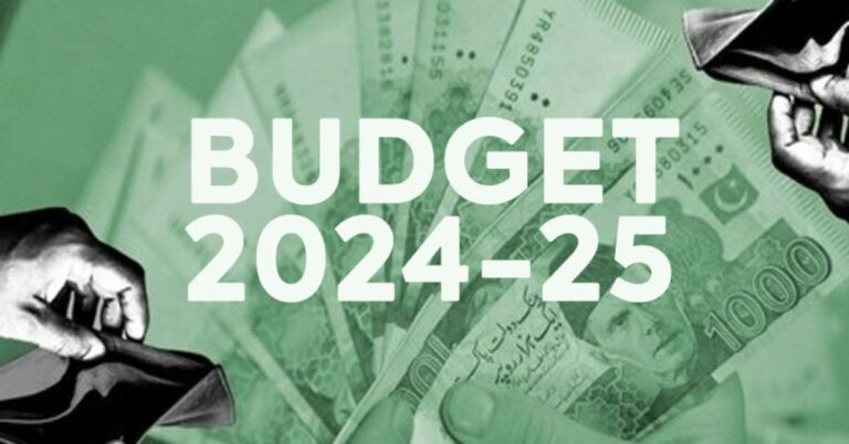 highlights of Budget 2024-25